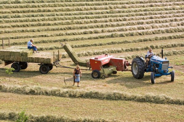 Prezes Ukraińskiego Klubu Agrobiznesu: Polscy rolnicy powinni zrezygnować z produkcji zbóż